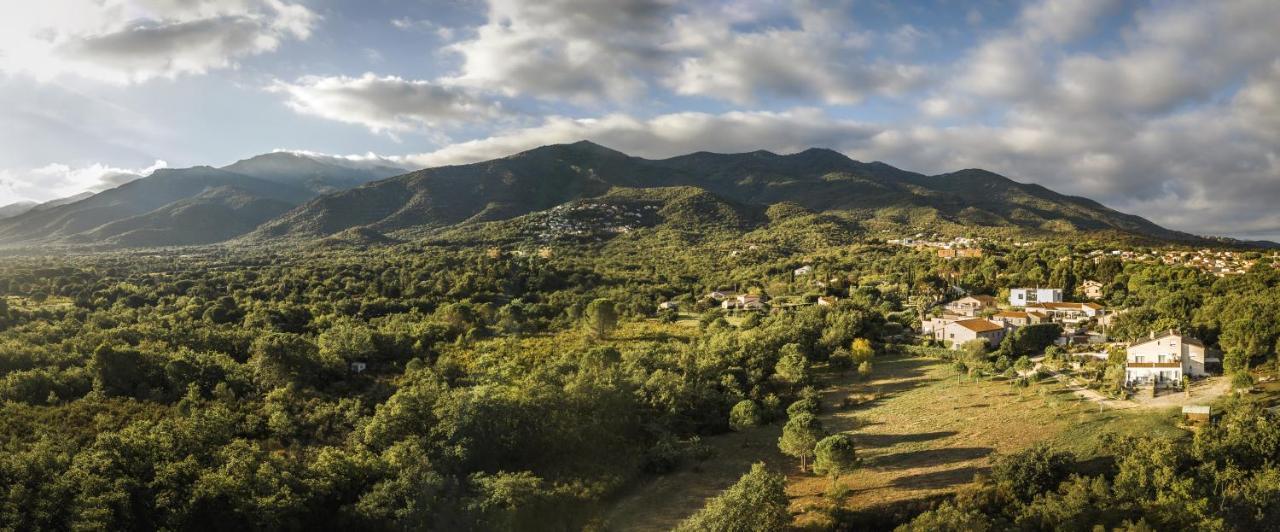 Domaine Pedra Llampada Gite Cerise Villelongue-dels-Monts Exterior photo